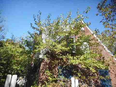 13015 Kelly (4)_m.jpg